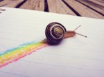 rainbow_snail__by_leinzel.jpg