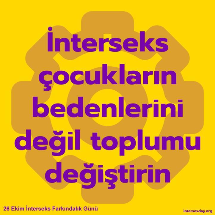 22853350_1126142734186995_8581198550745041161_n