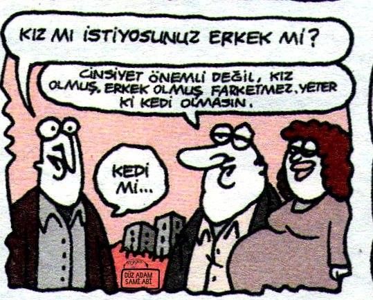 c7a4149ffad4cc0f98ca218819e50c58