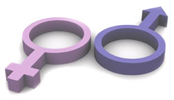 genderart