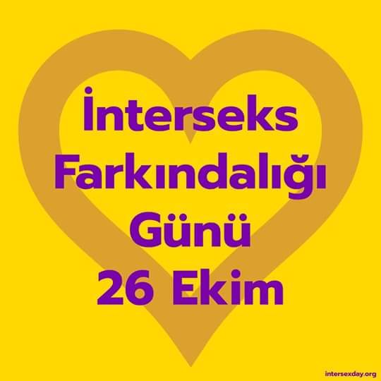 14713792_1565346013491142_1347776495051352678_n